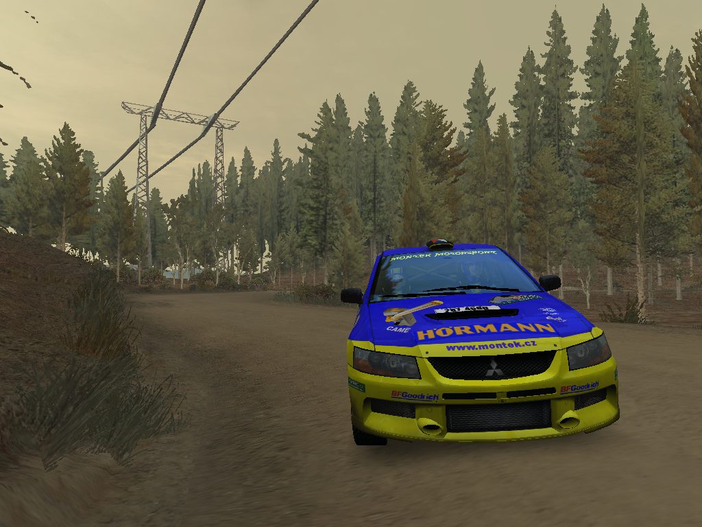 michal_senk03.jpg